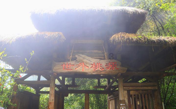 青蛙魔术师